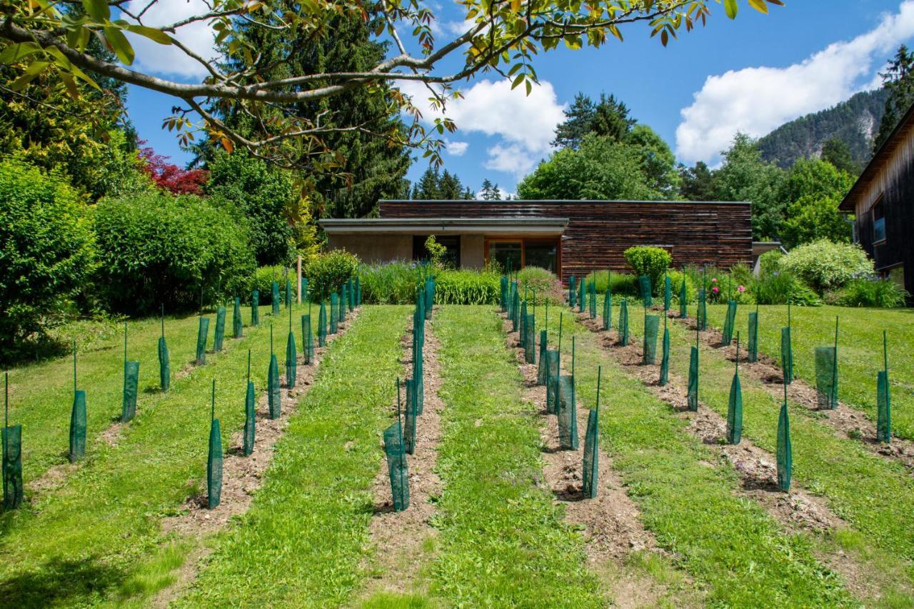 Gartenlodge Auszeit Nötsch 외부 사진